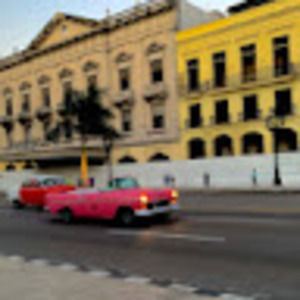 Meet your Posher, Monica